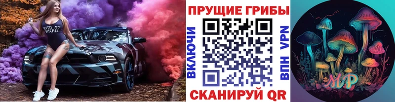 Галлюциногенные грибы Psilocybine cubensis цены наркотик мега как войти Алексин